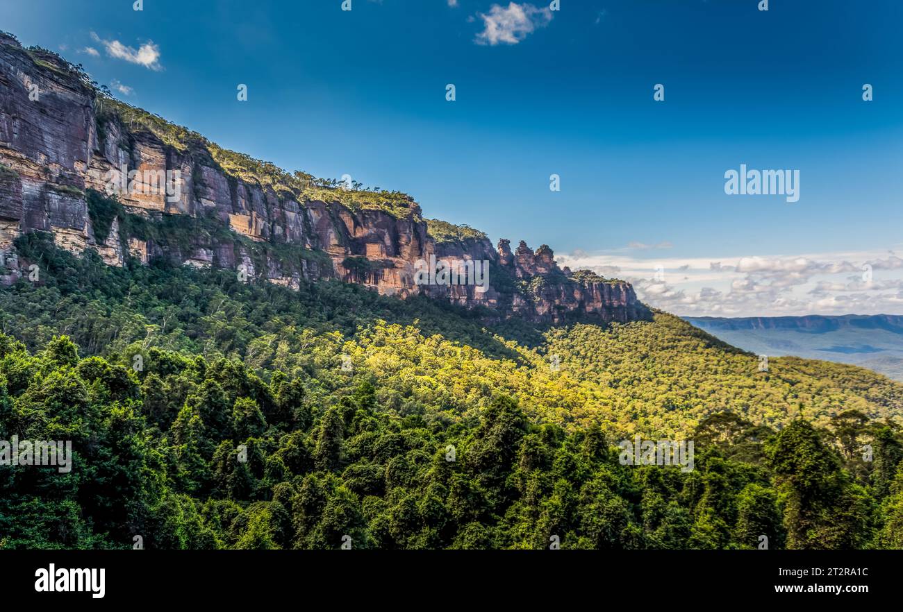 Rainforest blue mountains new hi-res stock photography and images - Alamy