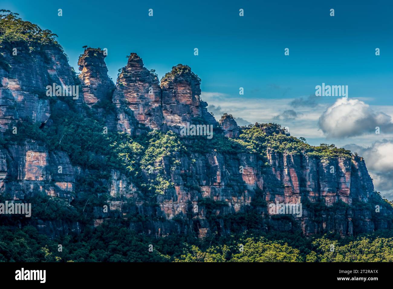 Rainforest blue mountains new hi-res stock photography and images - Alamy