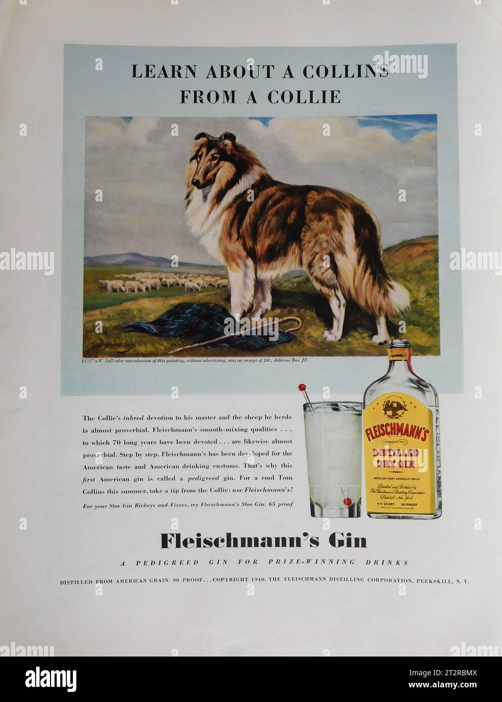 FLEISCHMANN'S DISTILLED DRY GIN 1940 US Magazine Advertisement Stock Photo Alamy
