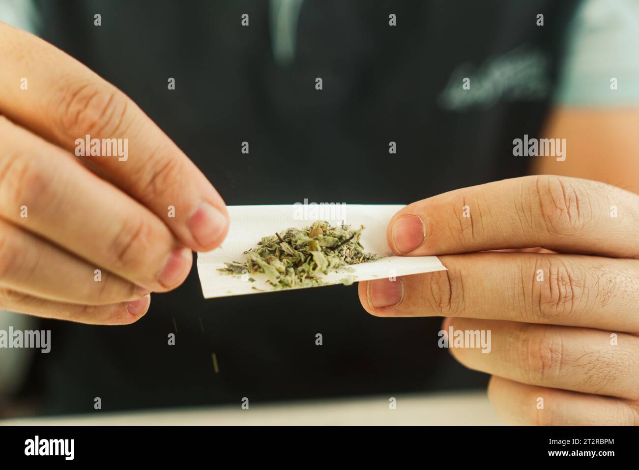 Preparing and rolling marijuana cannabis joint. Drugs narcotic concept