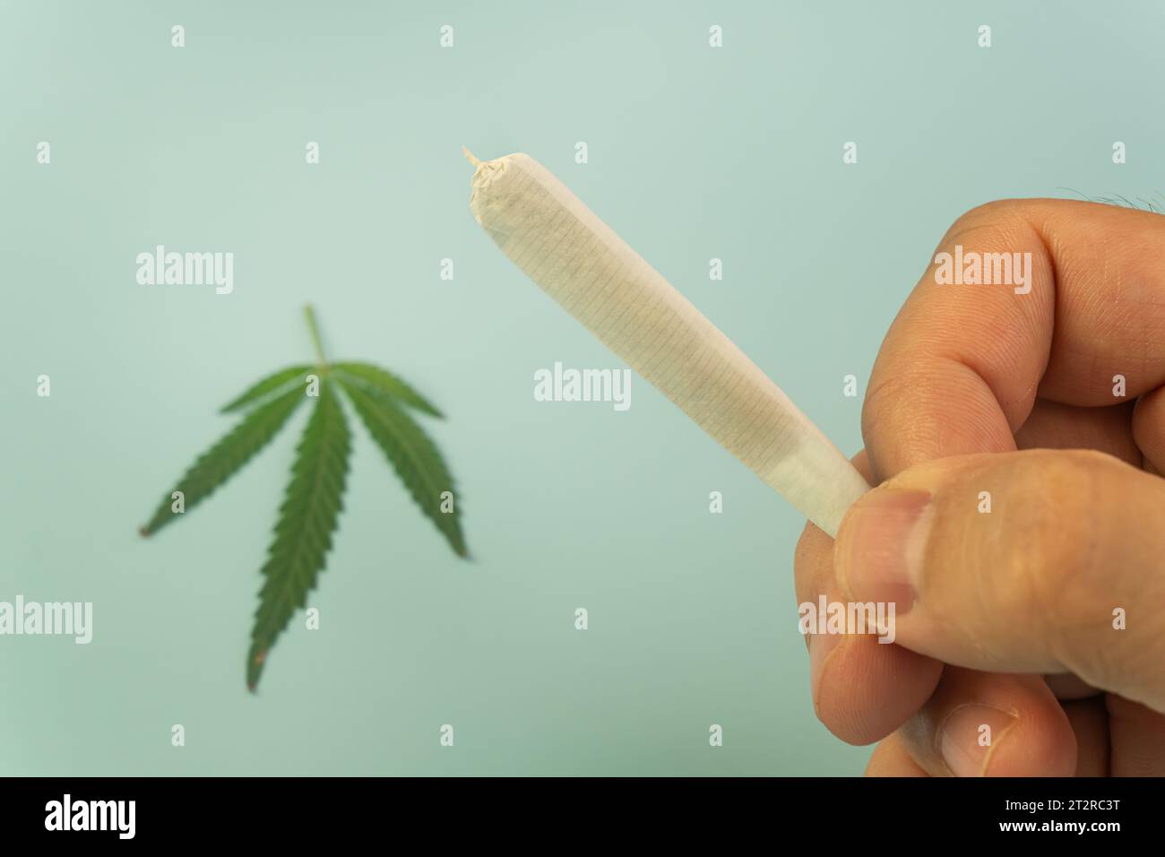 Cannabis joint in a man's hand on a blue background Close up. Pot use concept. Stock Photo
