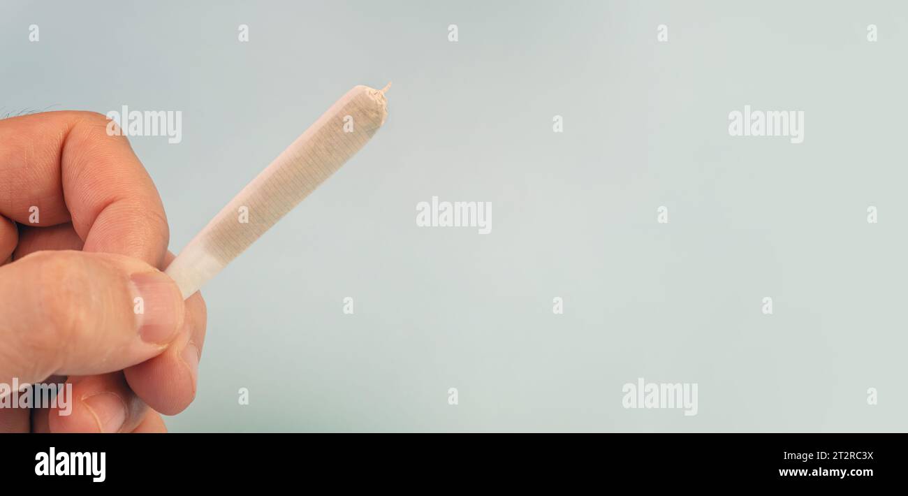 Preparing cannabis joint with tobacco and rolling paper with marijuana bud on blue background. The insinuation of marijuana abuse. cannabis legalizati Stock Photo