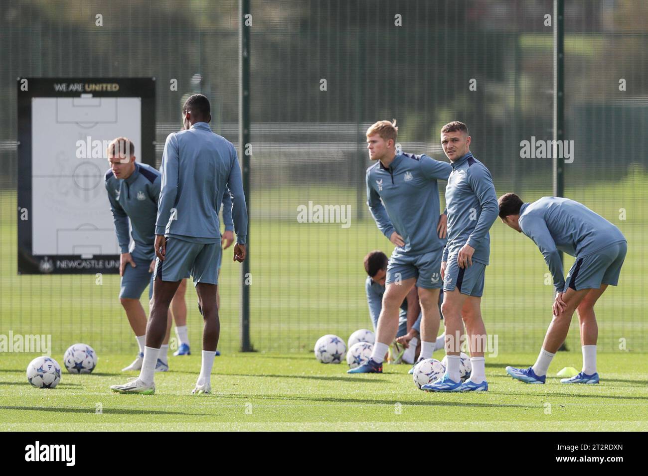 Newcastle united football players 2023 hi-res stock photography and images  - Alamy