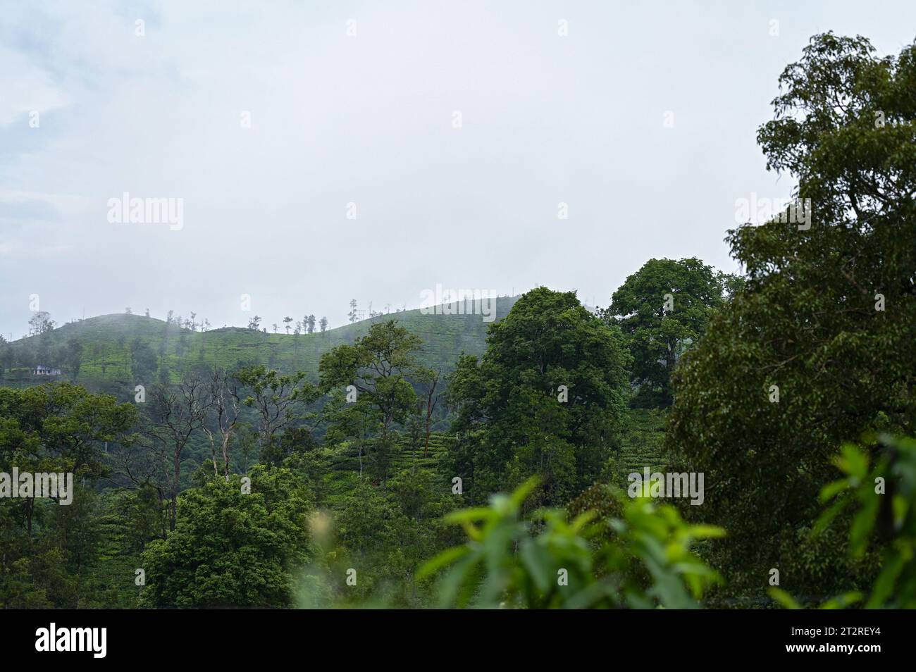 A beautiful mountain Landscape from Gudallur, Tamil nadu Stock Photo