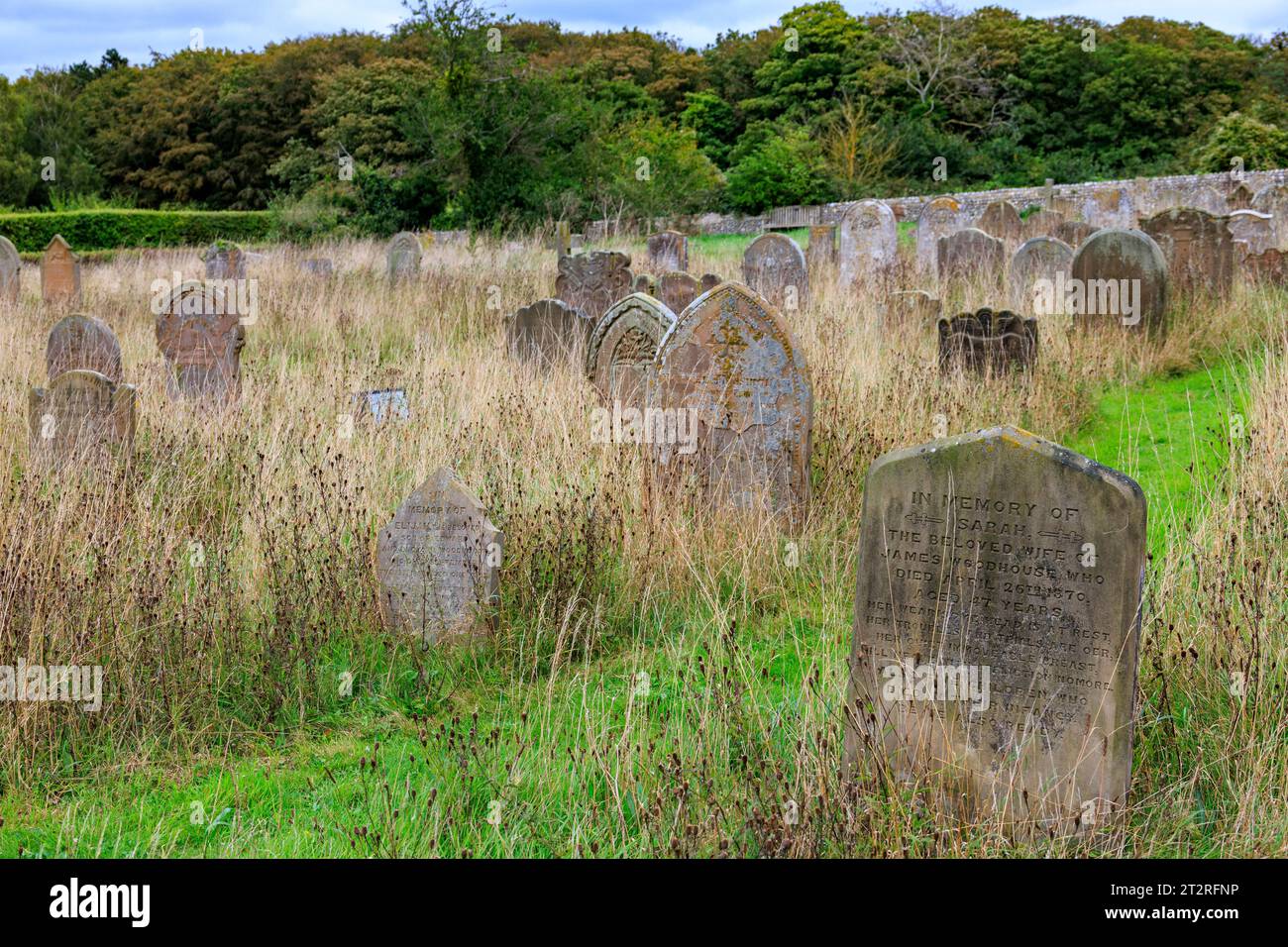 Rows of headstones in the overgrown churchyard at St Nicholas, Blakeney