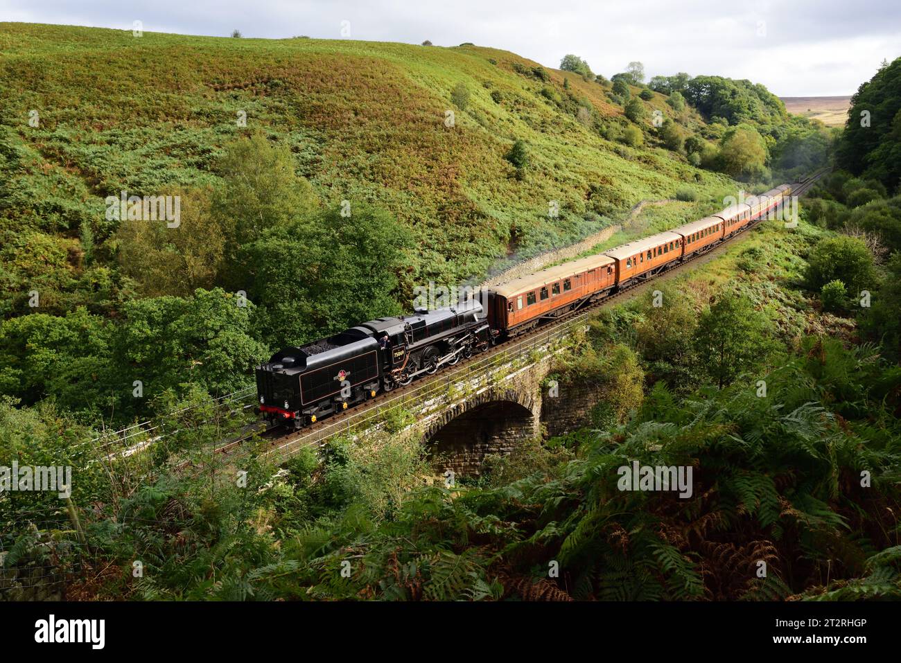 Running tender first, BR Standard Class 4 No 75069 coasts downhill at Water Arc near Goathland on the North Yorkshire Moors Railway. Stock Photo