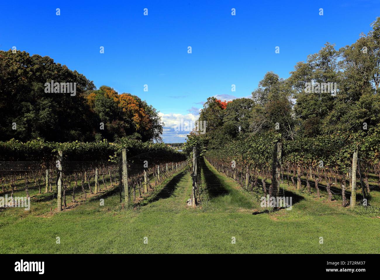 Agricultural harmony hi-res stock photography and images - Alamy