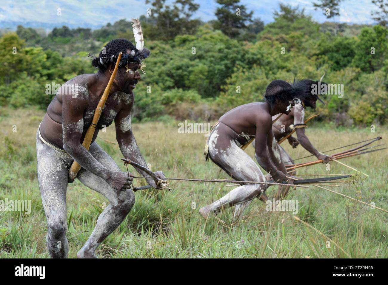 Warriors of the Dani Tribe at Baliem valley Stock Photo