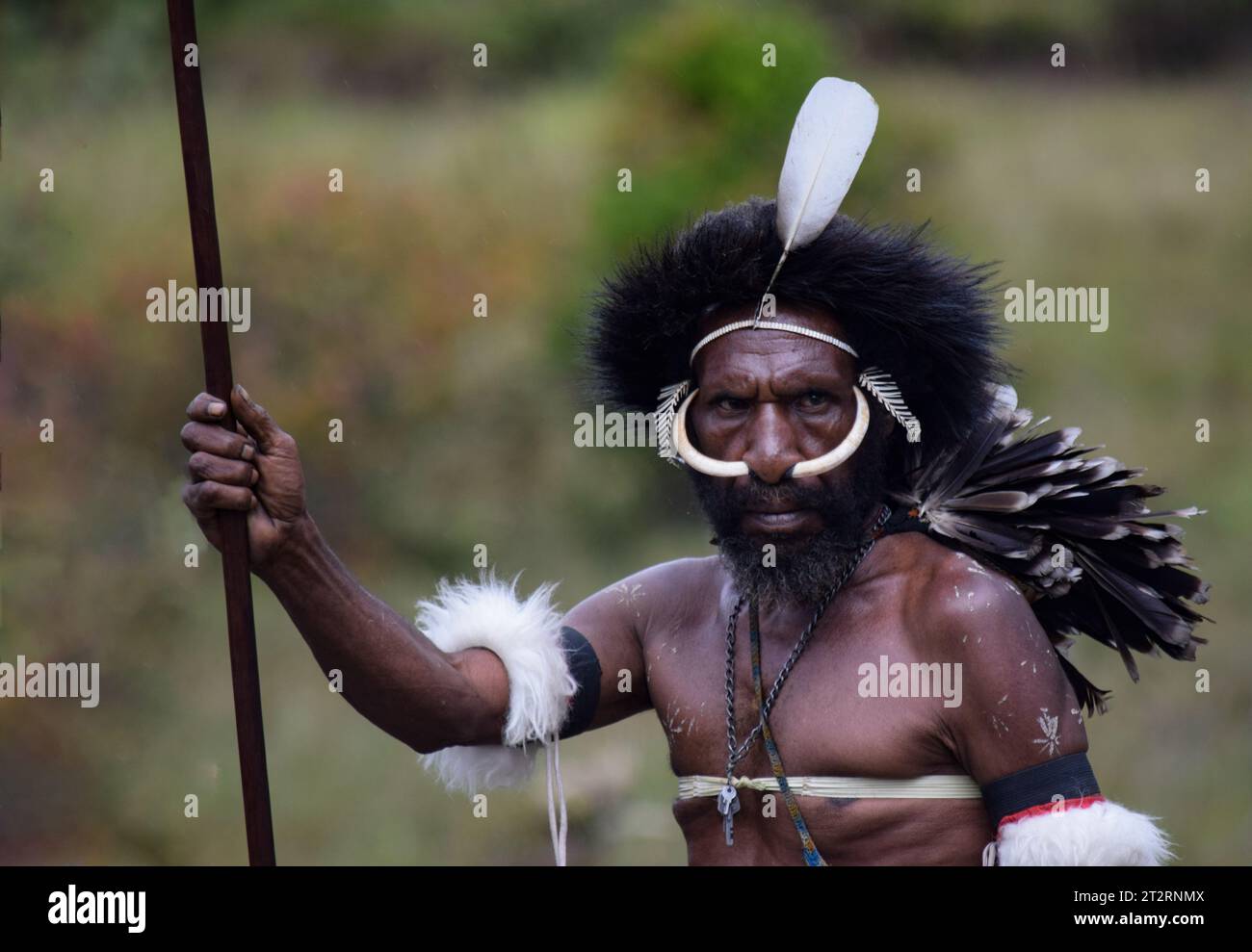 Warrior of the Dani Tribe at Baliem valley Stock Photo