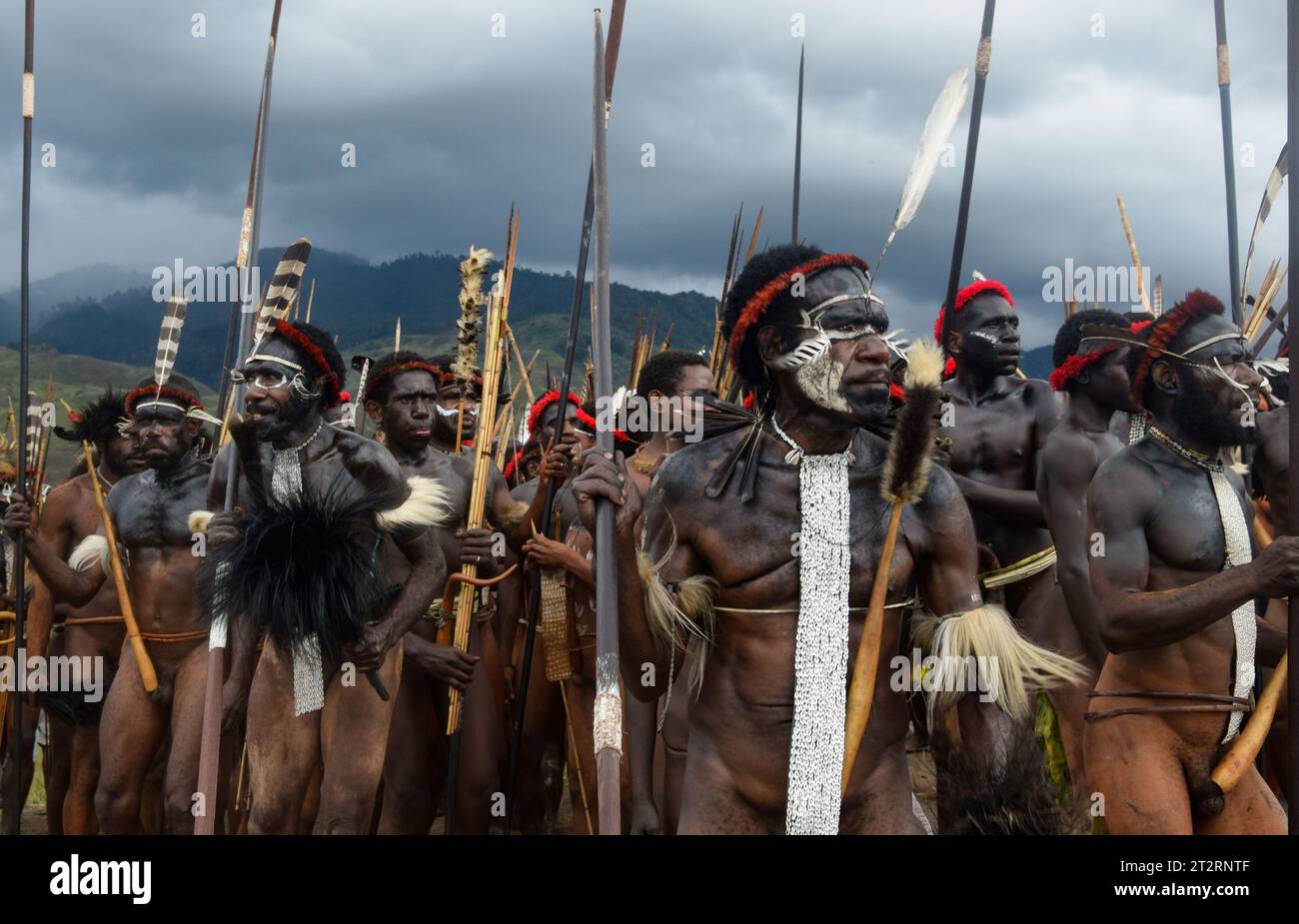 Warriors of the Dani Tribe at Baliem valley Stock Photo