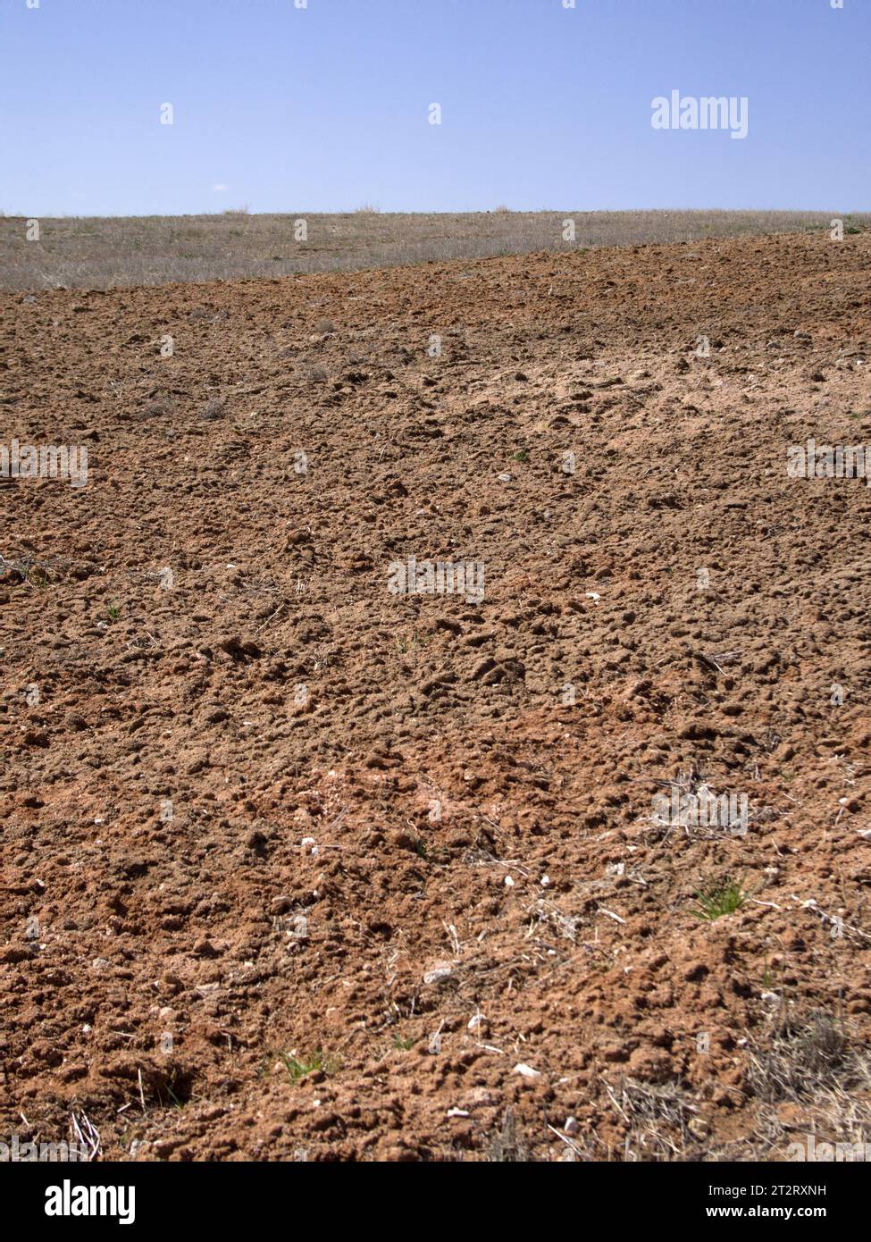 Salting of soil hi-res stock photography and images - Alamy