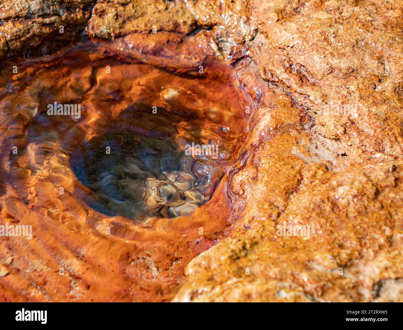 Mineral well from limestone deposits. Colonies of bacteria, cyenallae