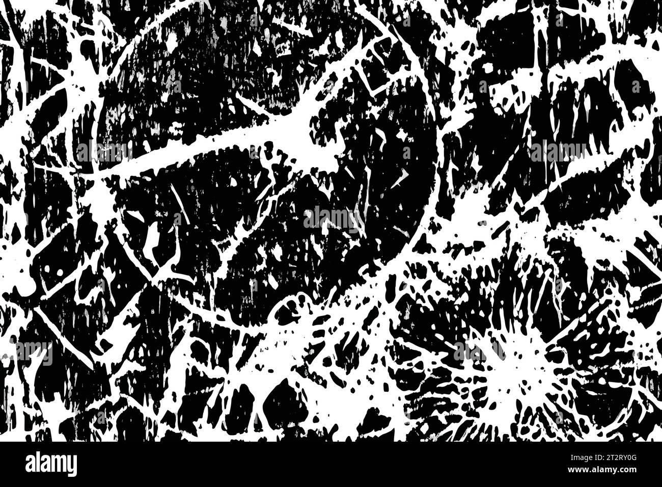 Black and White Grunge Texture. Abstract art . Ink splashes. Grunge