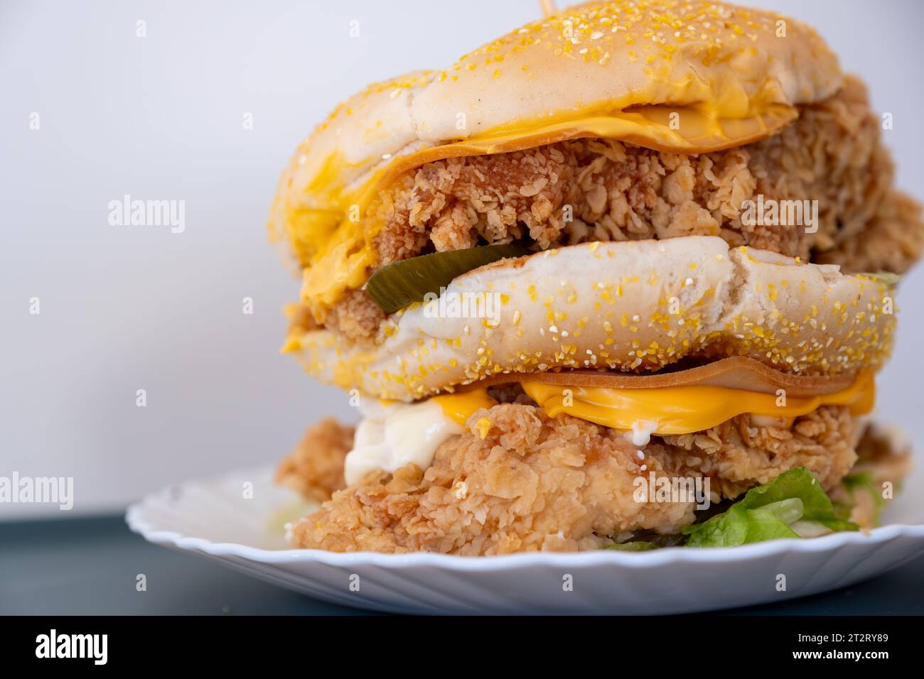 Chicken burger with pickles bread sesame and cheese all around isolated
