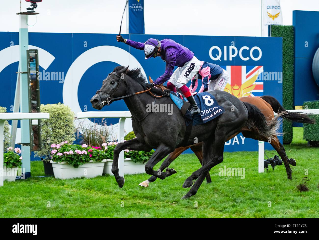 Amo Racing Limited Ascot, Berkshire, United Kingdom. Saturday 21st October 2023. King Of ...