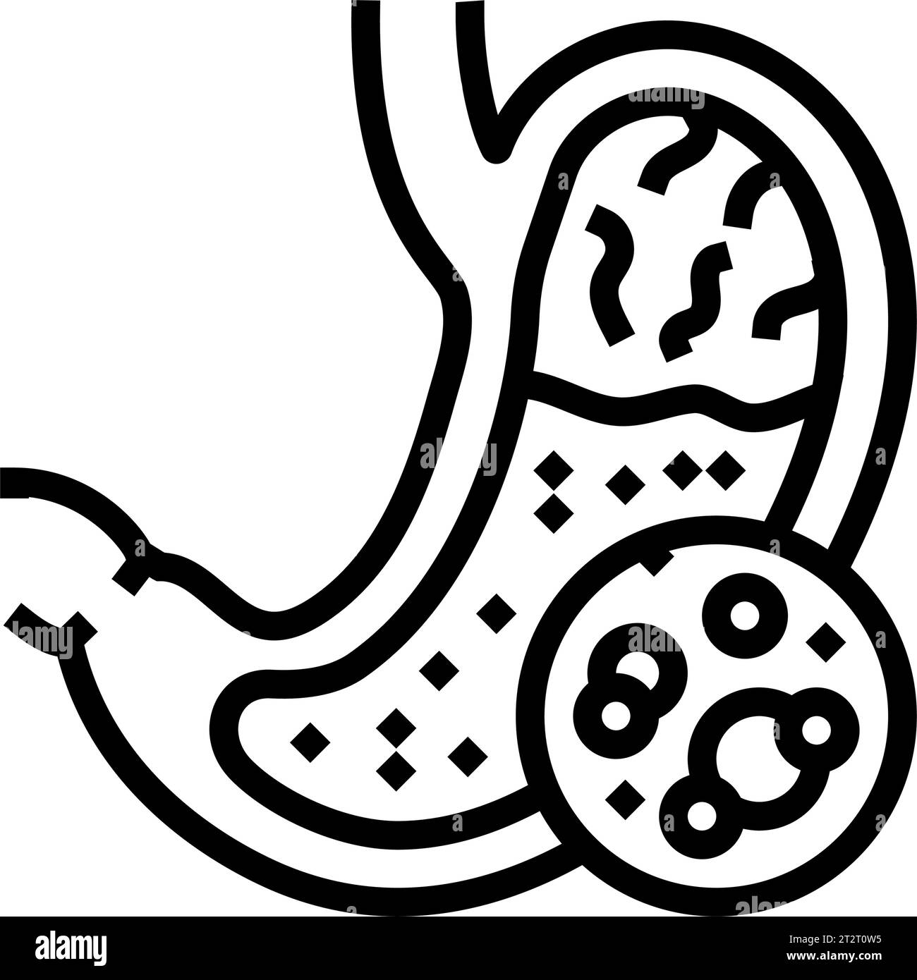 digestive enzymes gastroenterologist line icon vector illustration