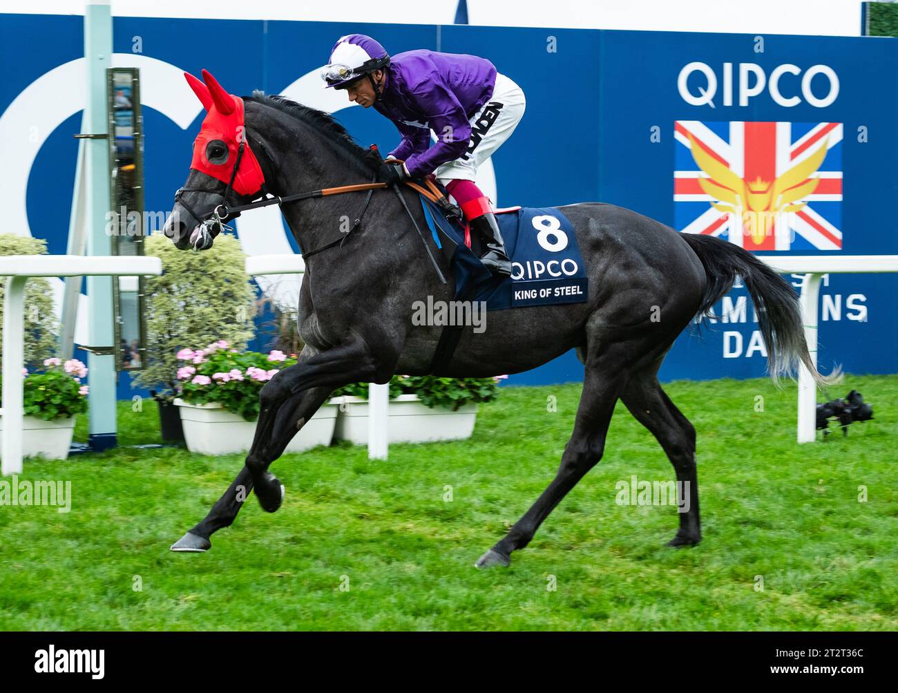 Amo Racing Limited Ascot, Berkshire, United Kingdom. Saturday 21st October 2023. King Of ...