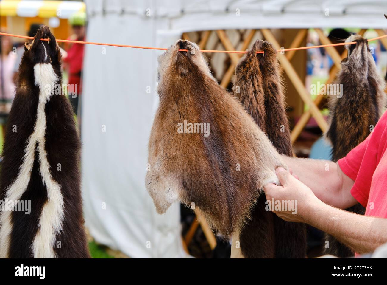 Mi'kmaq hunting hi-res stock photography and images - Alamy