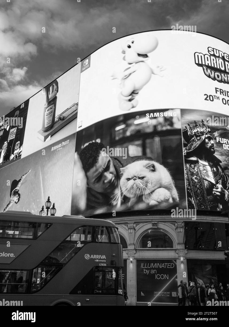 Black and White, Cat from Advertisement Watching London Bus, Piccadilly