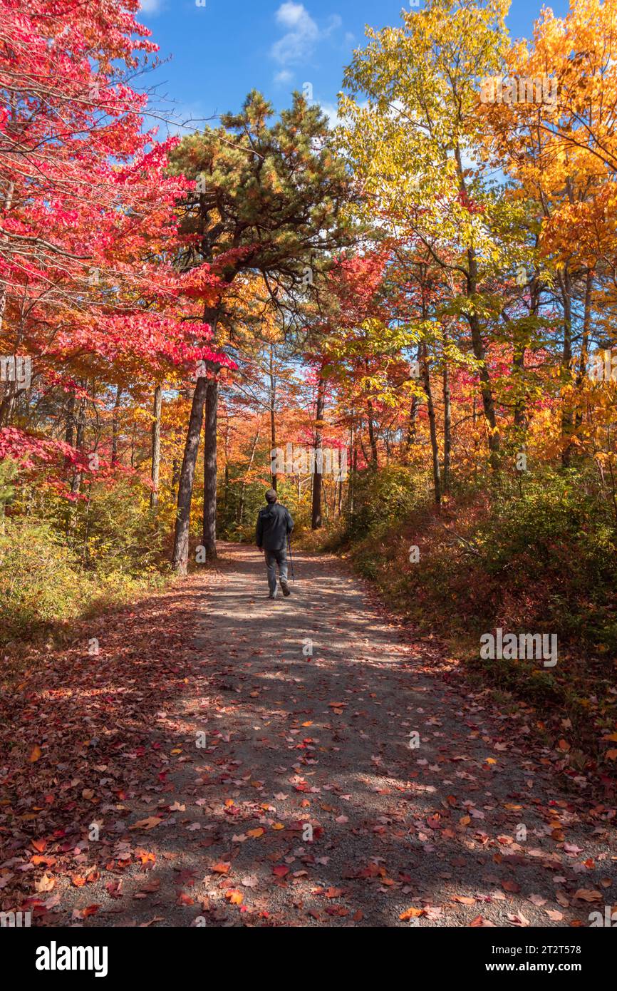 Minnewaska State Park Preserve in Kerhonkson NY with brilliant fall foliage on the Hamilton Point Carriage Road Stock Photo