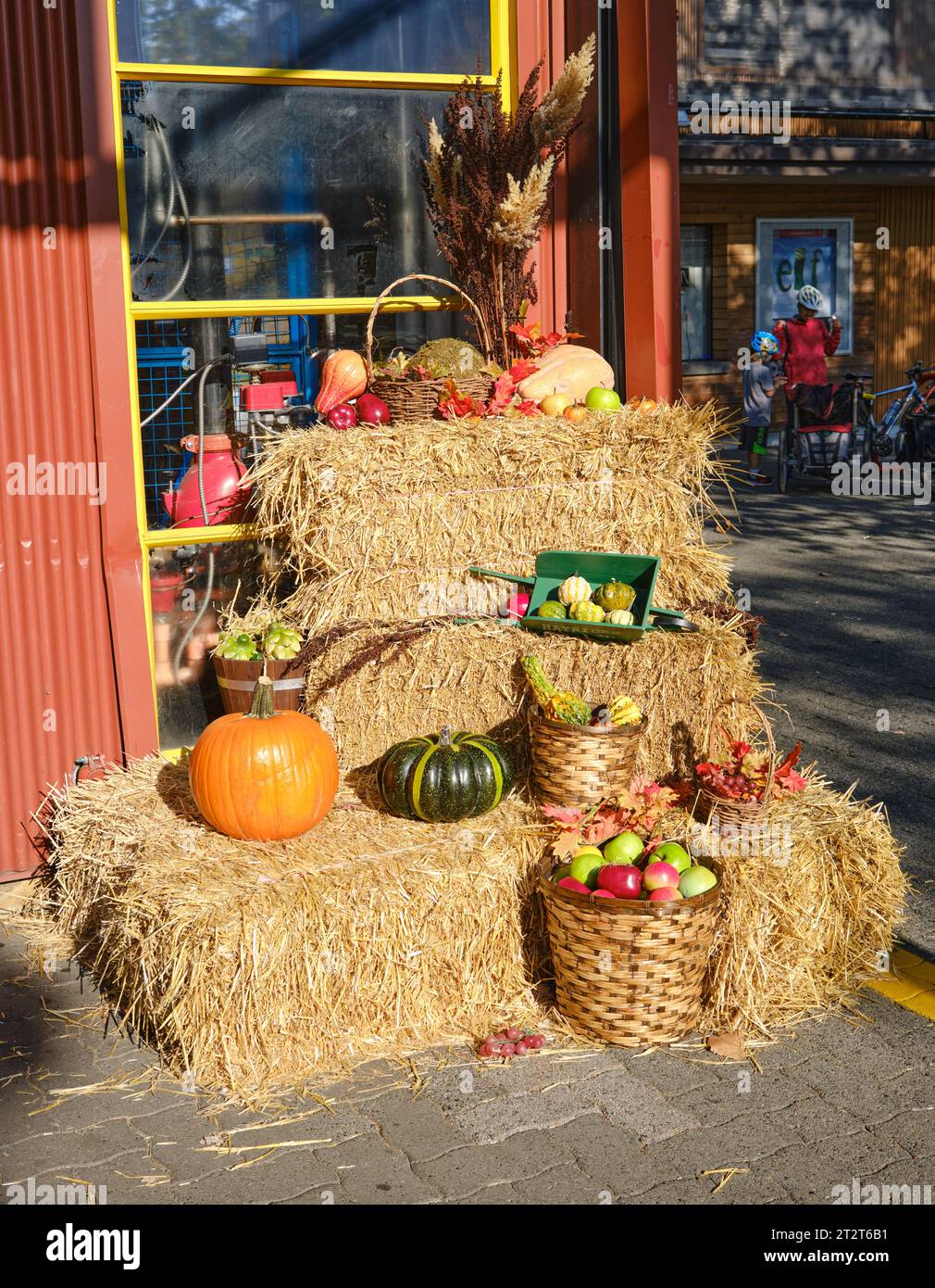 fall market display of pumpkins on bales of hay Stock Photo - Alamy