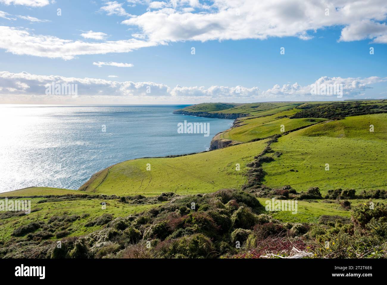 A view along the South West Coast Path on the Isle of Purbeck Dorset England. The view is from Anvil Point towards Dancing Ledge and beyond Stock Photo