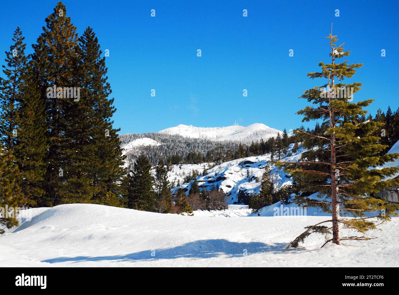 A winter landscape in the Sierra Nevada Mountains of California is ...