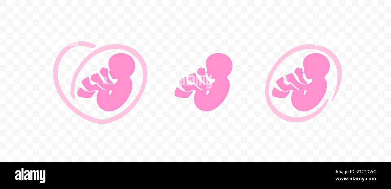 Birth, pregnancy, baby in belly, embryo and human fetus, graphic design. Fetal, fetus, germ, foetus, motherhood, obstetrics and medicine Stock Vector