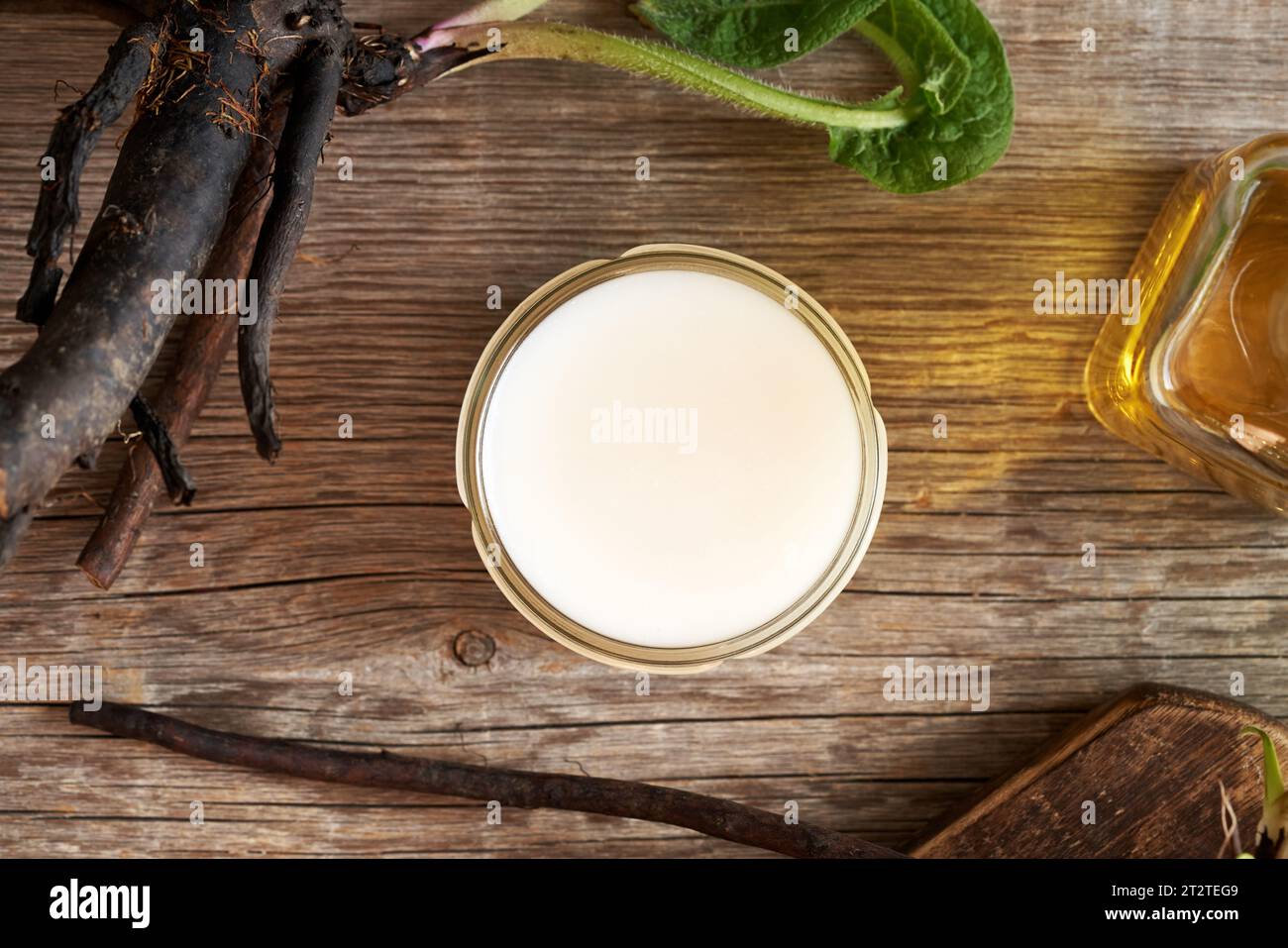 Cooled homemade comfrey root ointment made of rendered pork lard in a