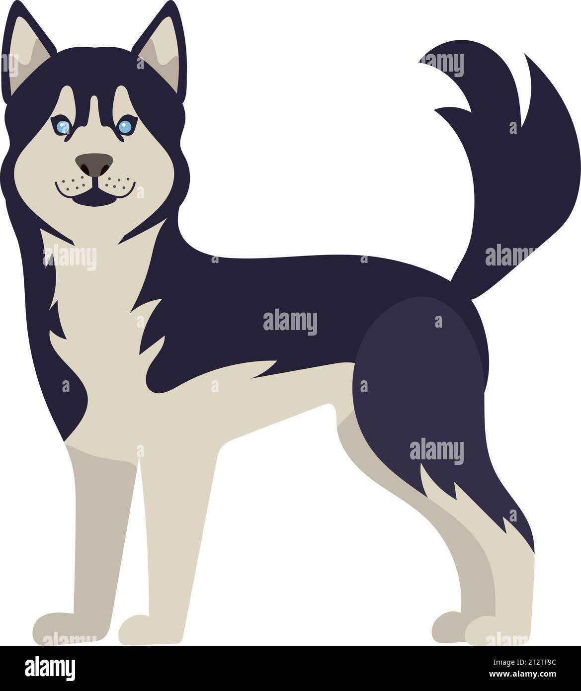 dog husky illustration vector isolated Stock Vector Image & Art - Alamy