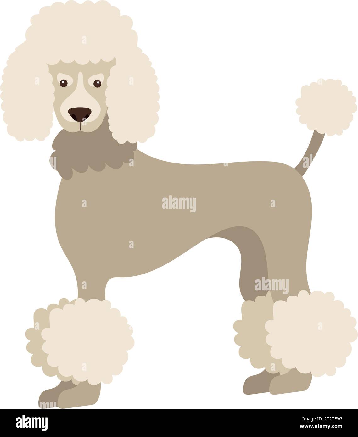 dog poodle design vector isolated Stock Vector Image & Art - Alamy
