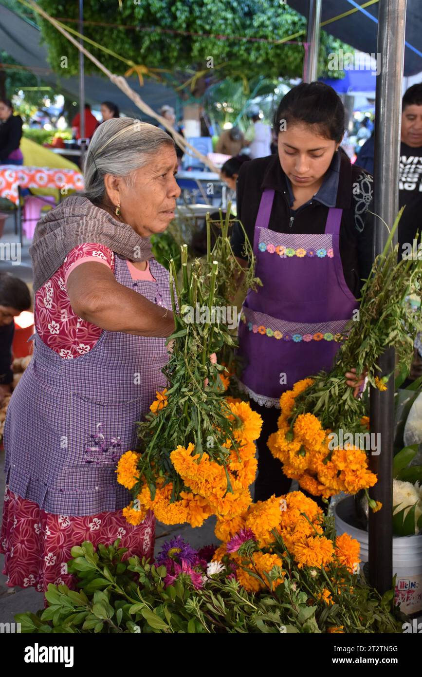 Day of the Dead in Huaquechula, Puebla Stock Photo