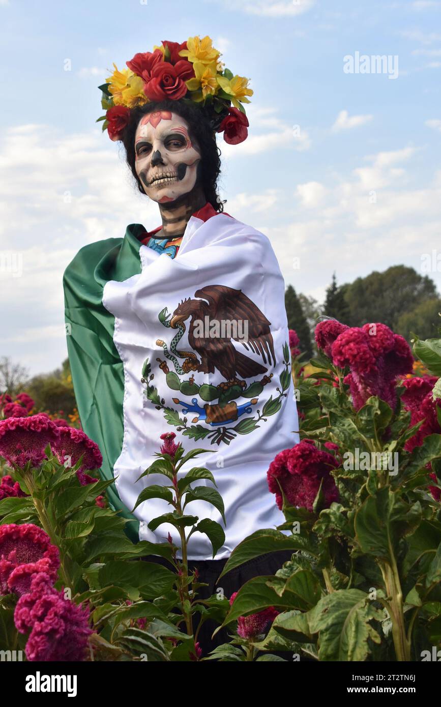 A Catrina in a field of Day of the Dead flowers Stock Photo