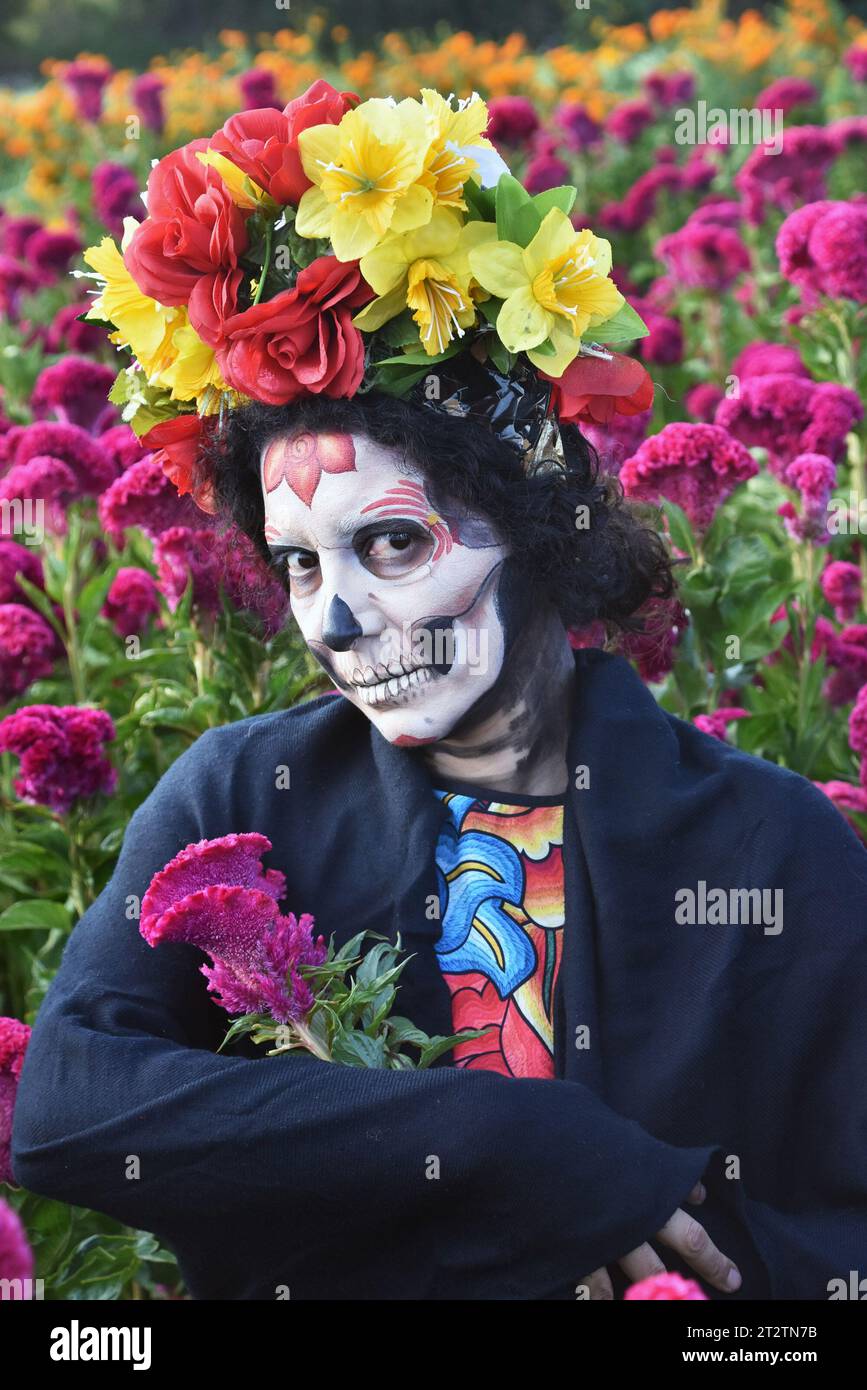 A Catrina in a field of Day of the Dead flowers Stock Photo
