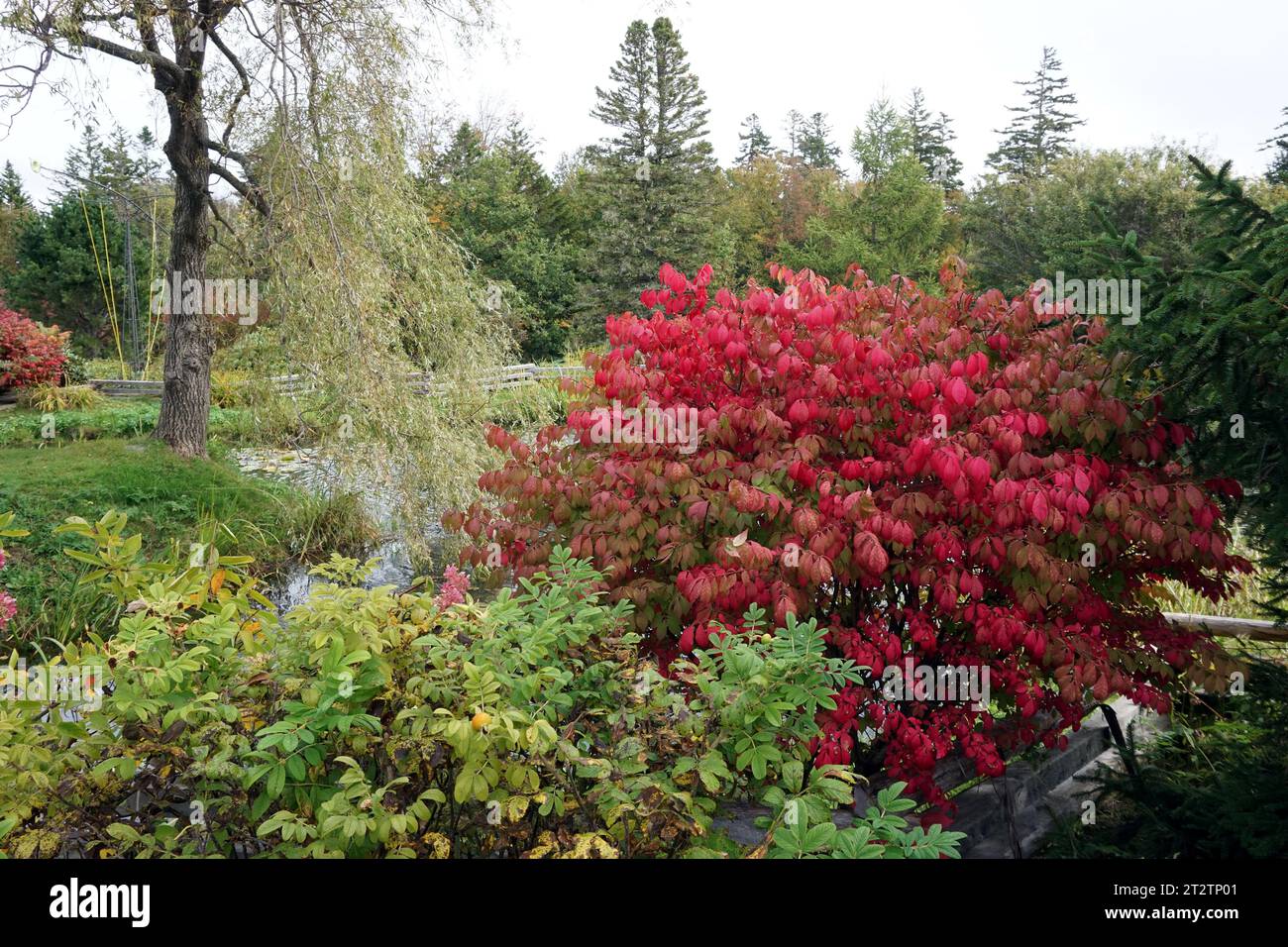 Kingsbrae Gardens, New Brunswick, in the autumn Stock Photo