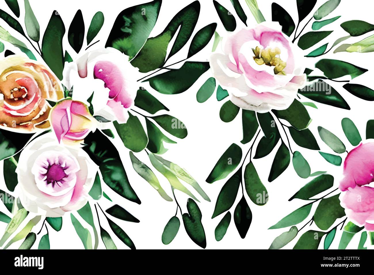 Delicate rose blooms in nature's beauty. Beautiful Rose Blossom in