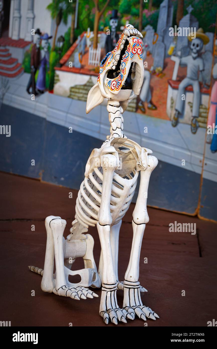 The Day of the Dead howling dog stands at Old Town in San Diego, California. Stock Photo