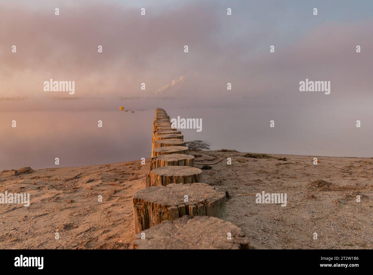 scenic view of a wooden groyne in a lake in the morning Stock Photo
