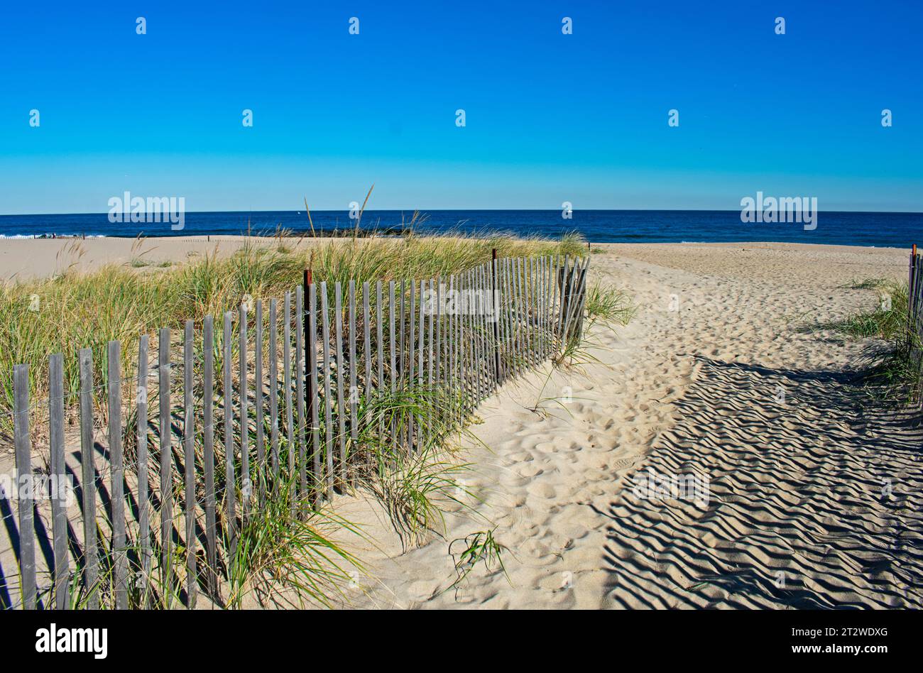 Late afternoon sun casts intriguing shadows of fence slats on beige beach sand on a clear day -01 Stock Photo