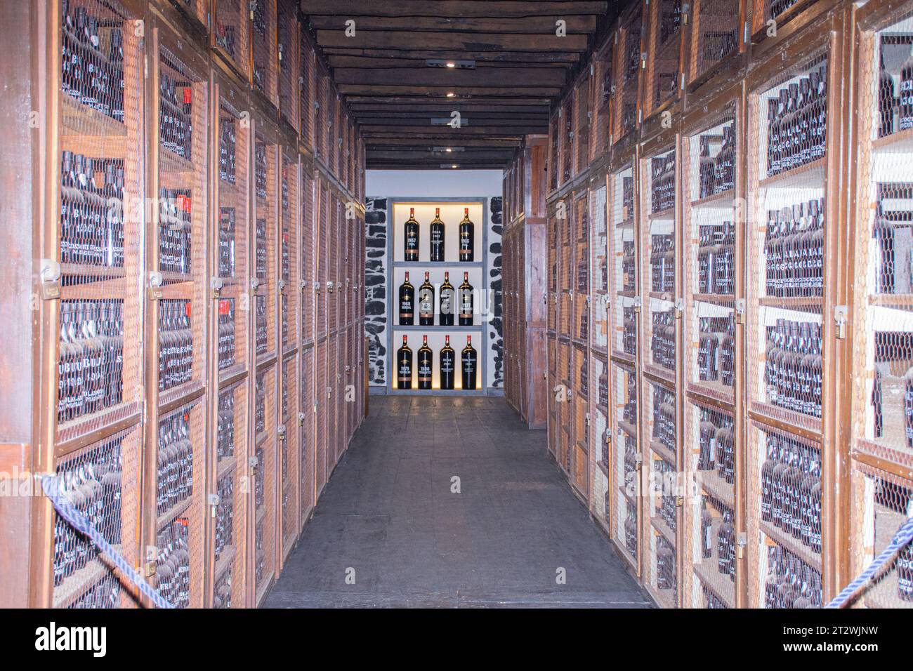 Wine cellar interior with bottles of wine on shelves in a row in the ...