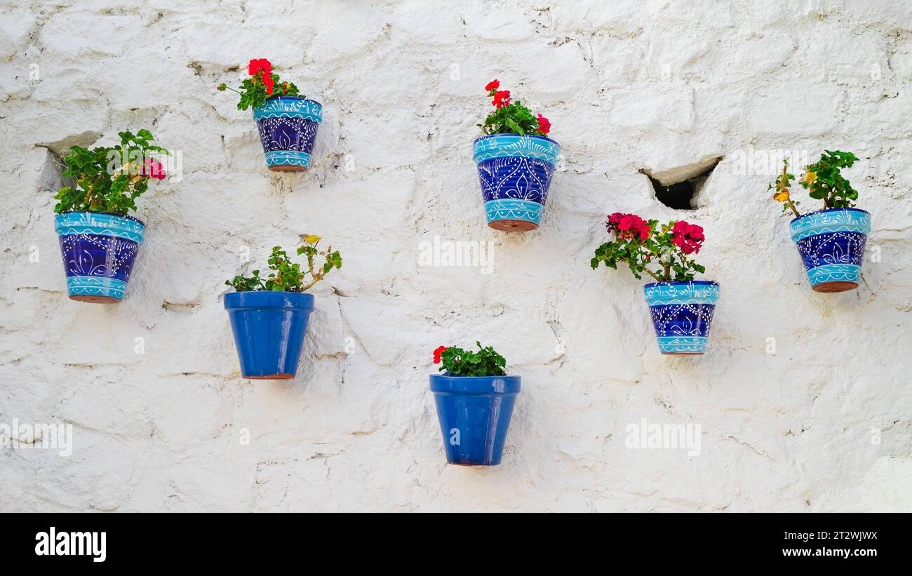 10 inch pots for plants LE TAUCI 10 Inch Plant Pot, Ceramic Pots for Plants with Drainage Plug   LETAUCI
