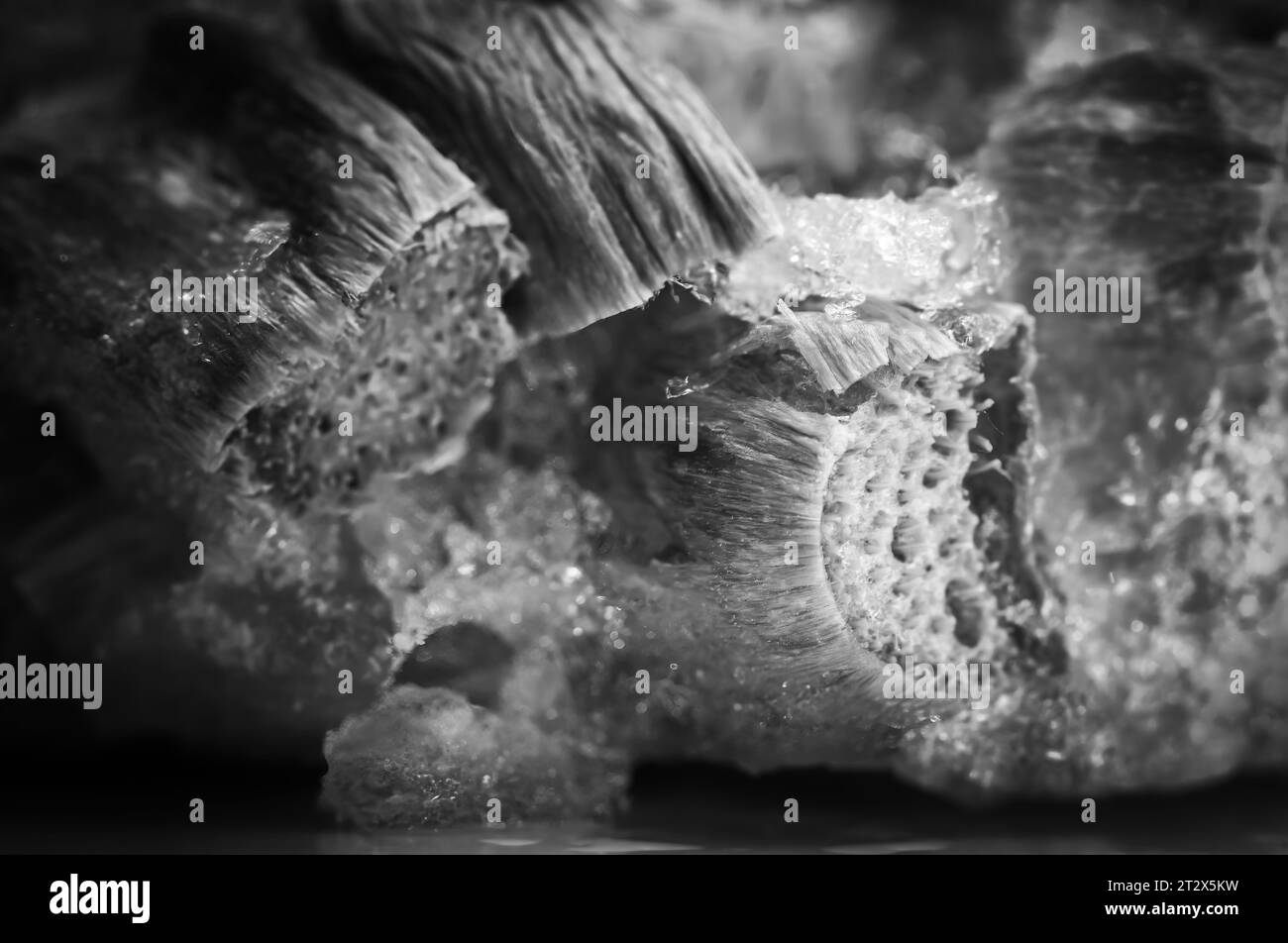 Focus stack of freezer burned rhubarb with ice crystals Stock Photo Alamy