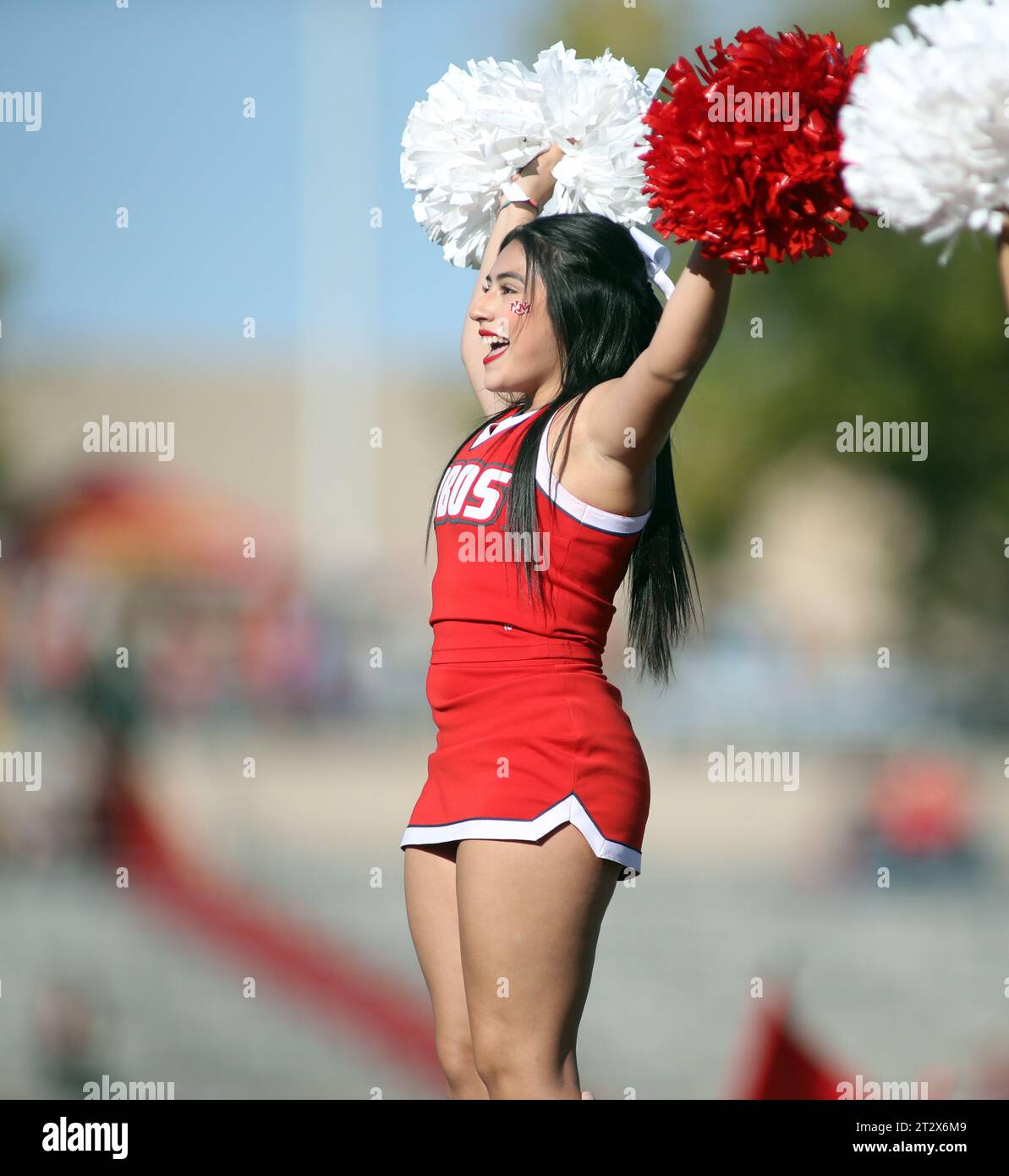 October 21, 2023 - A New Mexico Lobo cheerleader performs during a game between the New Mexico Lobos and the Hawaii Rainbow Warriors at University Stadium in Albuquerque, NM - Michael Sullivan/CSM (Credit Image: © Michael Sullivan/Cal Sport Media) Stock Photo