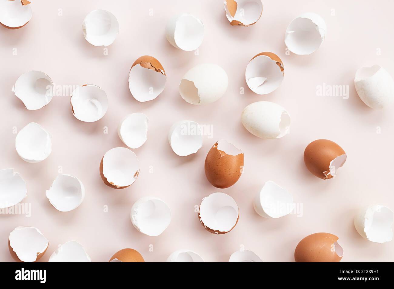 Springtime easter layout. Empty broken chicken eggshells. Stock Photo