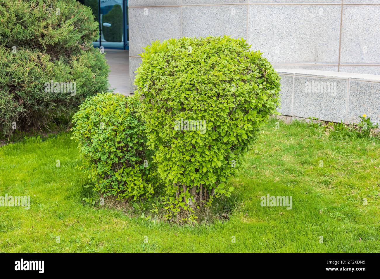 Theme for landscape design Stock Photo