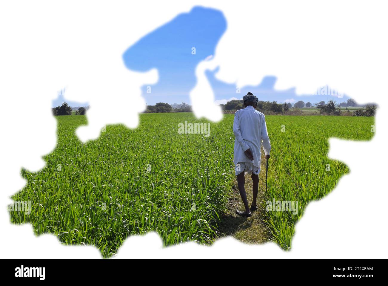 Madhya Pradesh map, elderly farmer portrait isolated on white