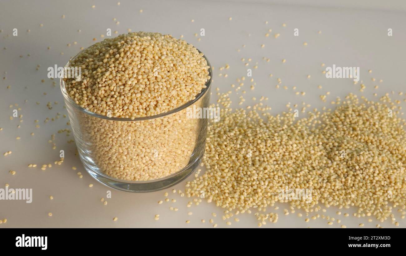 Proso millet, tiny round seeds with a golden hue kept in a glass bowl filled to the brim. Nutritious gluten free and versatile staple, suitable for he Stock Photo