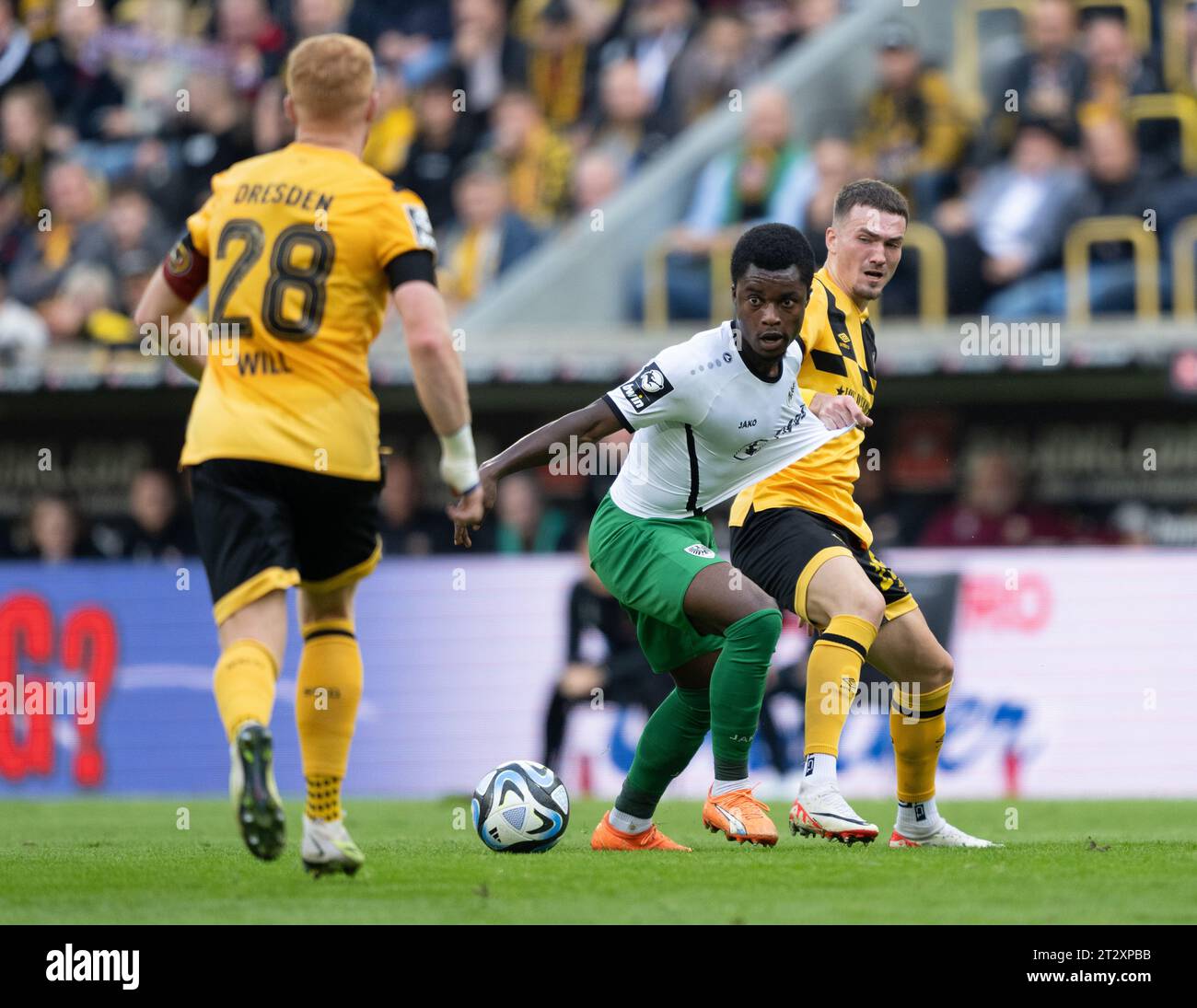 Dresden, Germany. 23rd July, 2022. Soccer: 3rd league, SG Dynamo Dresden - TSV  1860 Munich, Matchday 1, Rudolf-Harbig-Stadion. Dynamo's Tim Knipping  (l-r), Kyu-hyun Park, Dennis Borkowski and Manuel Schäffler cheer. Credit:  Robert