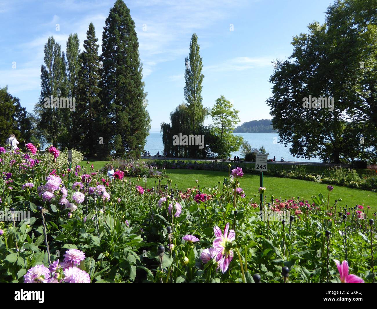 Island Mainau And Butterfly Selection Bodensee Germany Stock Photo Island Mainau And Butterfly Selection Bodensee Germany Stock Photo
