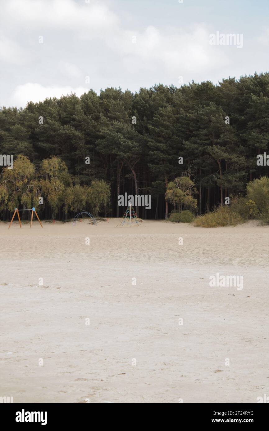 Forest background, Tallinn Estonia Stock Photo - Alamy